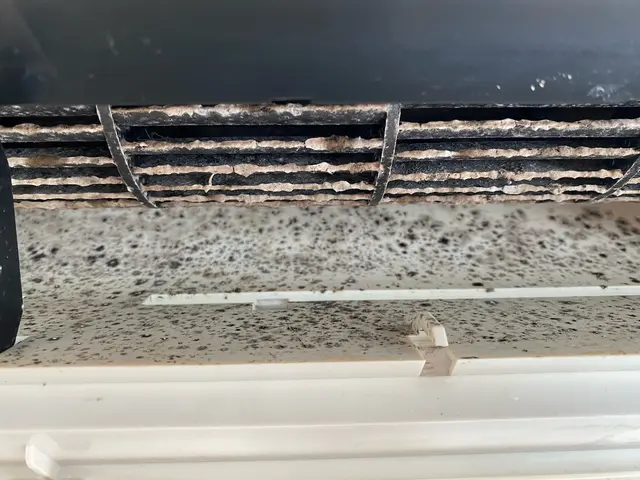 消臭・抗菌コート無料サービス致します☆５児のパパがお伺いします【損害保険加入】サービスの画像