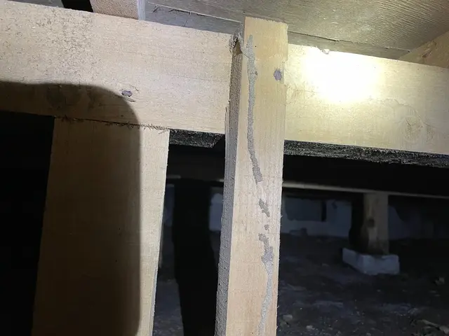 日本シロアリ対策協会加盟の安心施工！　有資格者が作業にお伺い致します。サービスの画像