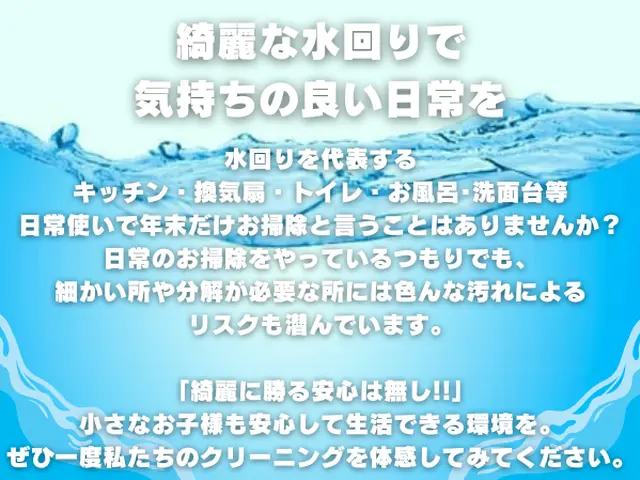 【自然由来の洗剤】職人歴8年特別価格￥45000⇒￥35000損害保険☆大手経験サービスの画像