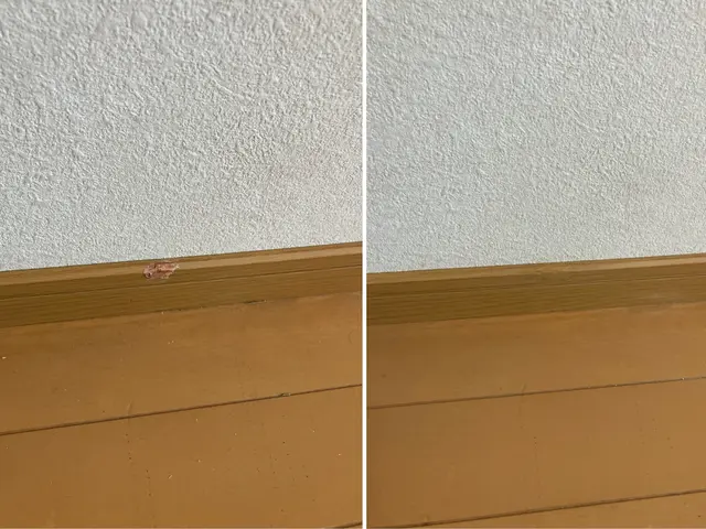 即日対応＆追加対応無料！安心と信頼の匠の技で蘇る我が家の床サービスの画像