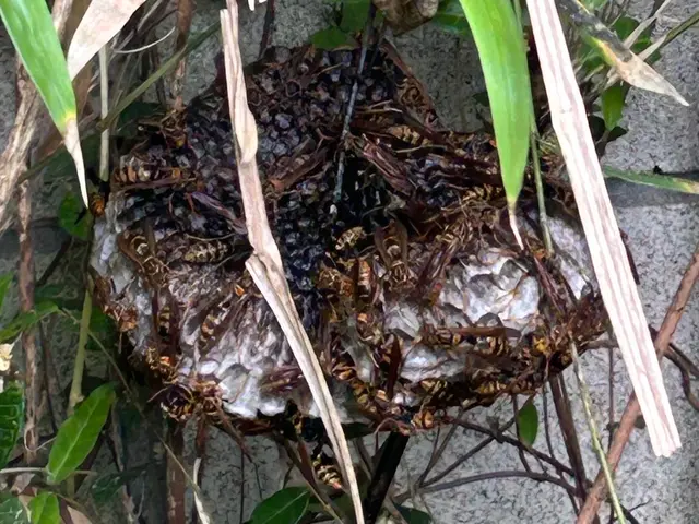 便利屋として幅広く対応　迅速・丁寧！対応地域外もご相談可能サービスの画像