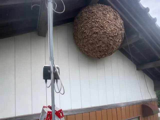 便利屋として幅広く対応　迅速・丁寧！対応地域外もご相談可能サービスの画像