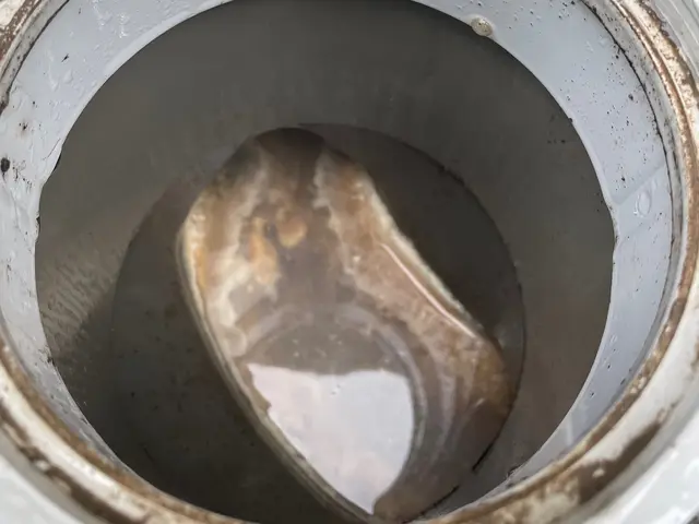 【一戸建て】洗浄力が違います！エンジン式高圧洗浄機でスッキリ洗浄！サービスの画像