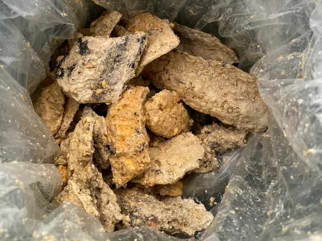 【一戸建て】洗浄力が違います！エンジン式高圧洗浄機でスッキリ洗浄！サービスの画像