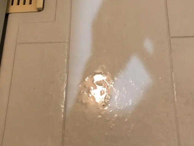 換気扇から床面まですべてクリーニング！サービスの画像