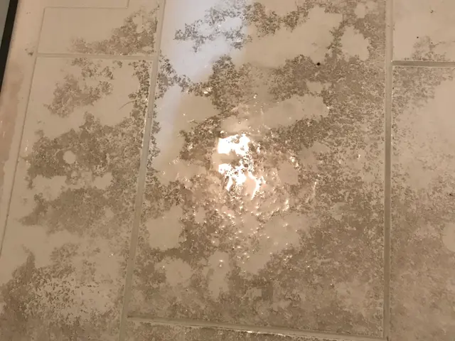 換気扇から床面まですべてクリーニング！サービスの画像