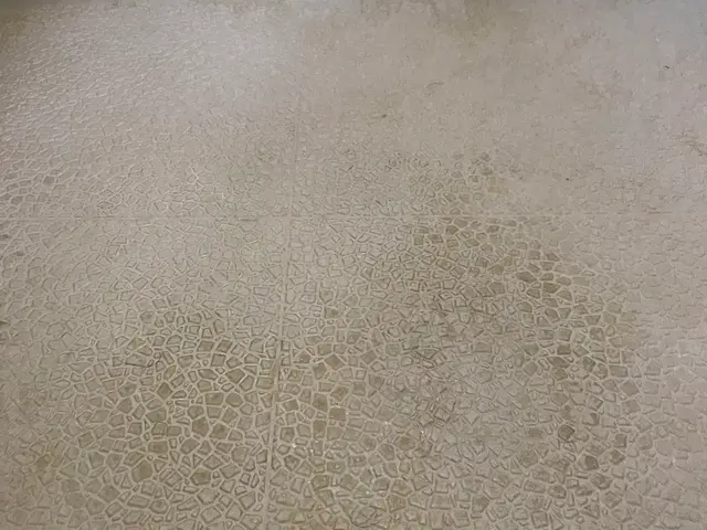 換気扇から床面まですべてクリーニング！サービスの画像