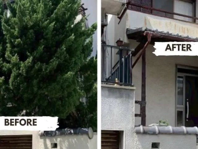 庭木の伐採・抜根｜根までしっかり処理！仕上げ確認で納得の施工サービスの画像