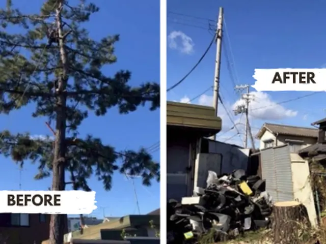 庭木の伐採・抜根｜根までしっかり処理！仕上げ確認で納得の施工サービスの画像