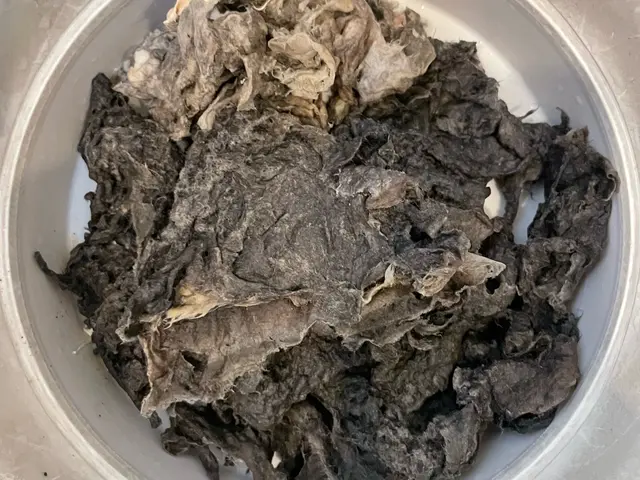 🛜完全分解洗浄⚜顧客満足度賞受賞☘きめ細やかな対応☘汚臭乾燥機能改善❤女性同行サービスの画像