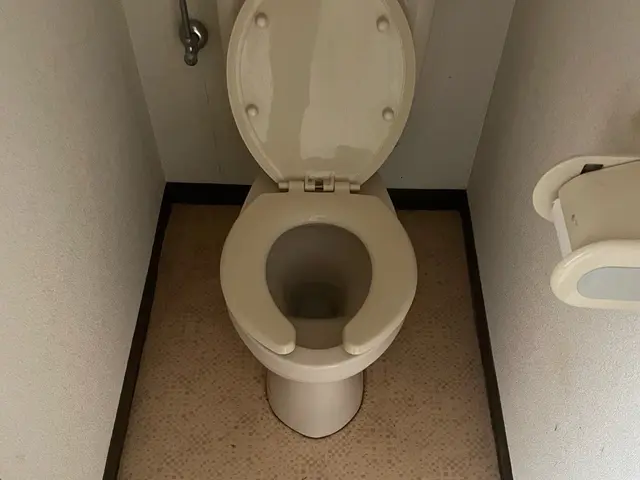 【駐車場代0円・外注なし】水回り4点セット1日1件の高級洗剤で丁寧清掃サービスの画像