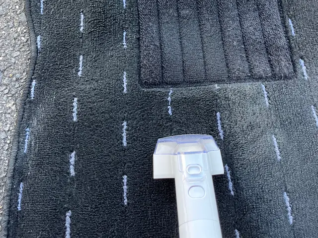 車内クリーニングサービスの画像