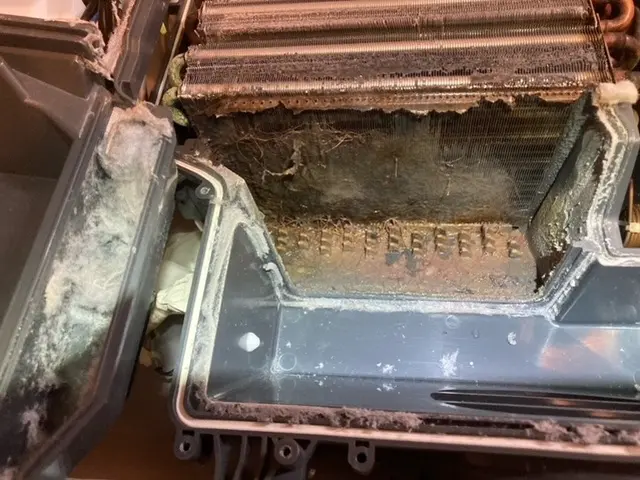 ドラム式の分解清掃なら圧倒的な実績と豊富な経験の当店にお任せ下さいサービスの画像