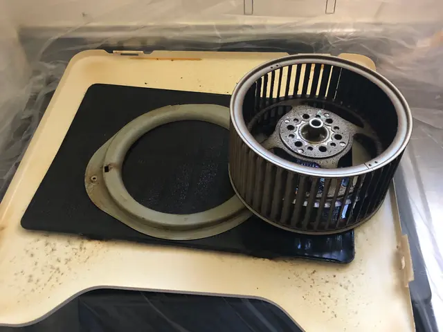 【9月】☆プロにお任せ☆アルカリ分解洗浄での価格☆安心の保証アリサービスの画像