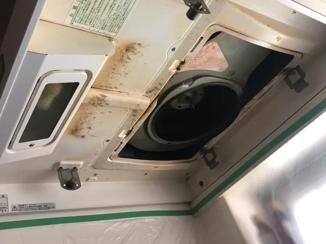 【9月】☆プロにお任せ☆アルカリ分解洗浄での価格☆安心の保証アリサービスの画像