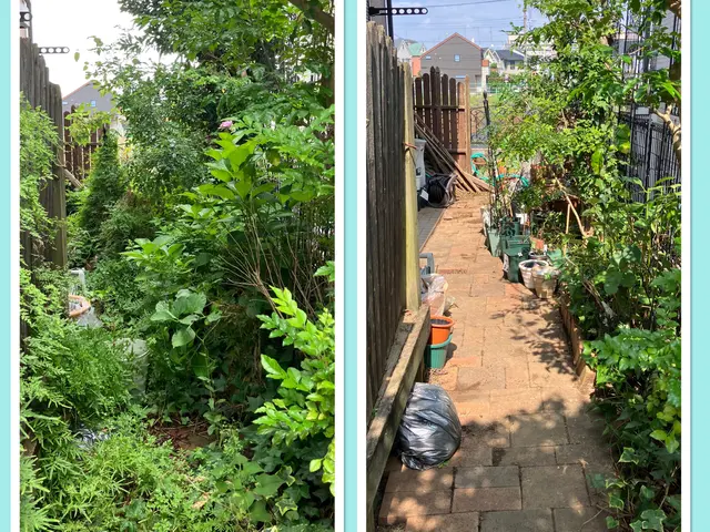 15年の経験と一級資格、明朗会計、安心の仕上がり。サービスの画像