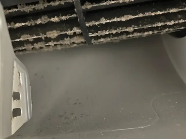 ◆空気が変わると日常が変わる◆カビ、花粉、ホコリ等アレルギー対策◇消臭除菌無料サービスの画像