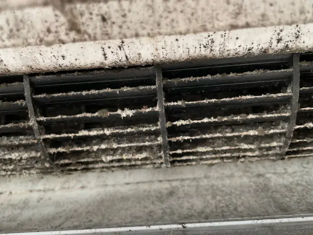 ◆空気が変わると日常が変わる◆カビ、花粉、ホコリ等アレルギー対策◇消臭除菌無料サービスの画像