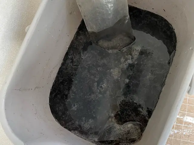 ◆空気が変わると日常が変わる◆カビ、花粉、ホコリ等アレルギー対策◇消臭除菌無料サービスの画像