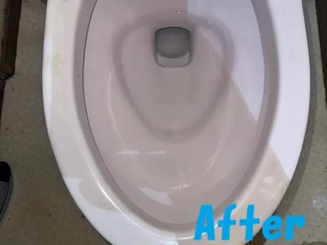 年末の大掃除はプロにお任せ下さい！私たち親子が綺麗にクリーニングします！サービスの画像