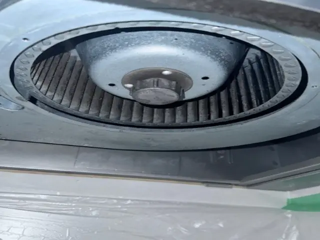 年末の大掃除はプロにお任せ下さい！私たち親子が綺麗にクリーニングします！サービスの画像