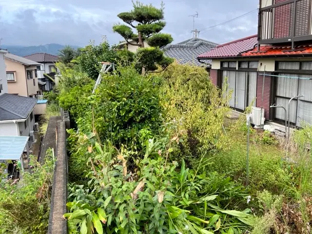 庭木の剪定・お庭の管理｜岡本庭園管理サービスの画像