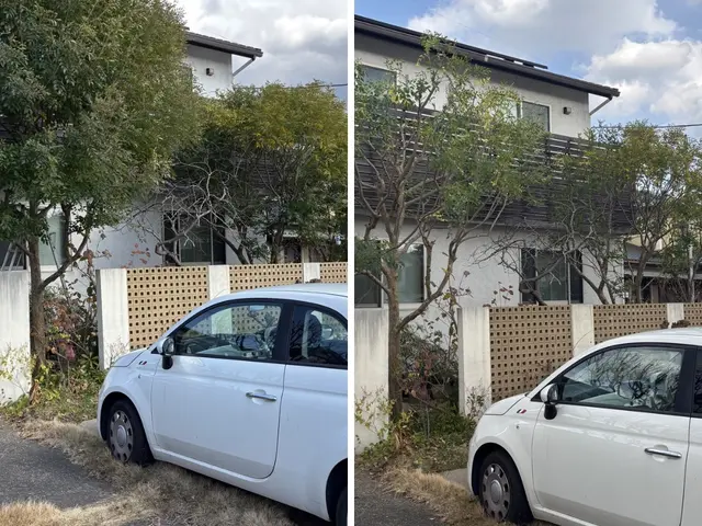 【高所対応可】伸びすぎた庭木をスッキリ剪定｜福岡市東区・糟屋郡対応｜追加料金なしサービスの画像
