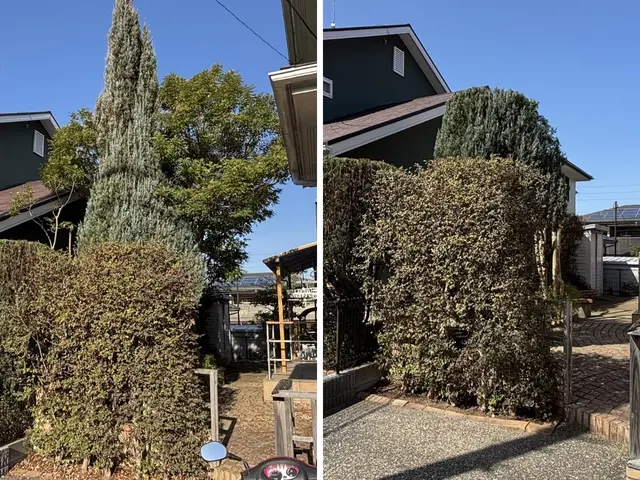 【高所対応可】伸びすぎた庭木をスッキリ剪定｜福岡市東区・糟屋郡対応｜追加料金なしサービスの画像