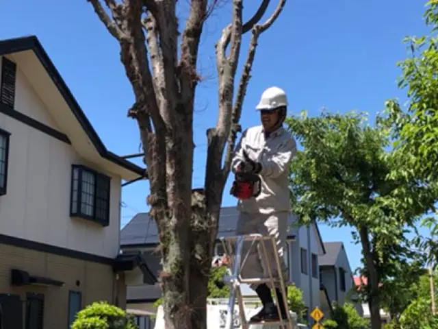 愛知県全域対応です　チェーンソー取り扱いの資格所得　森林組合での経験ありですサービスの画像