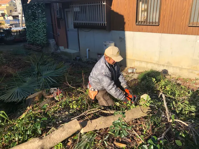 愛知県全域対応です　チェーンソー取り扱いの資格所得　森林組合での経験ありですサービスの画像
