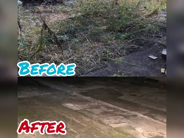 価格重視！作業組み合わせで割引！伐採、抜根、草刈りなど。サービスの画像