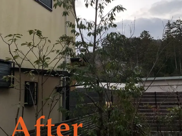 価格重視！作業組み合わせで割引！伐採、抜根、草刈りなど。サービスの画像