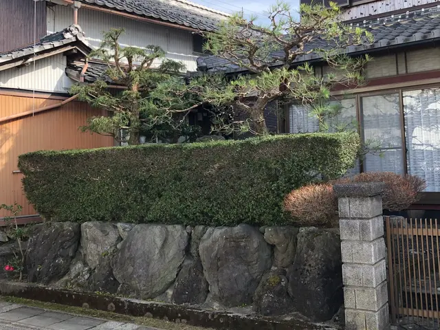 価格重視！作業組み合わせで割引！伐採、抜根、草刈りなど。サービスの画像