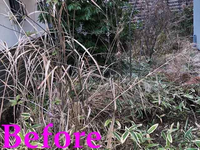 価格重視！作業組み合わせで割引！伐採、抜根、草刈りなど。サービスの画像