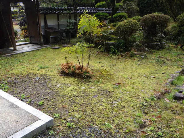 作業外注一切なし！作業にご不満の場合は無料にて追加対応いたします◎サービスの画像