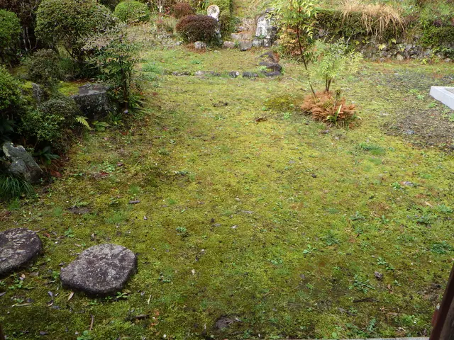 作業外注一切なし！作業にご不満の場合は無料にて追加対応いたします◎サービスの画像