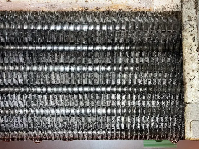 新規出店！国家資格×20年の技術で安心・安全な清掃｜除菌消臭サービス無料サービスの画像