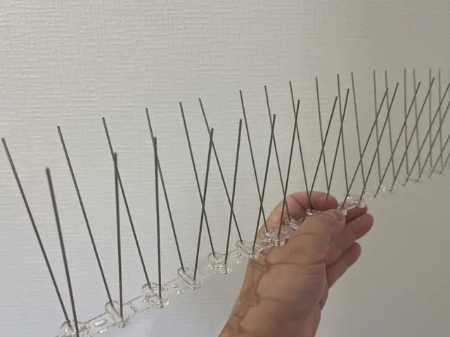 【防除歴12年以上】工場・倉庫などの糞害対策 お任せくださいサービスの画像