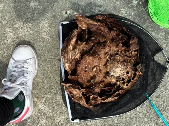 7/1〜東北をメインにご対応いたします。女性店長が伺う！安心・丁寧な駆除サービスサービスの画像