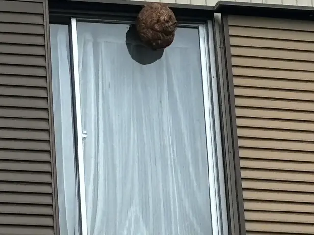 7/1〜東北をメインにご対応いたします。女性店長が伺う！安心・丁寧な駆除サービスサービスの画像