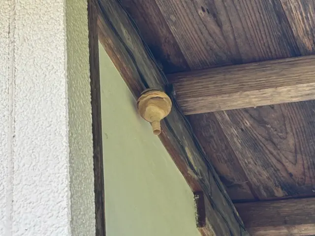 7/1〜東北をメインにご対応いたします。女性店長が伺う！安心・丁寧な駆除サービスサービスの画像