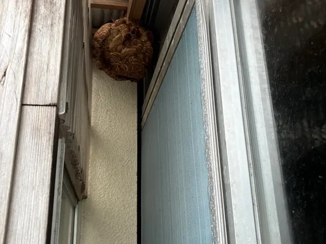 7/1〜東北をメインにご対応いたします。女性店長が伺う！安心・丁寧な駆除サービスサービスの画像