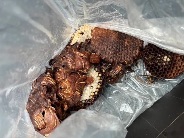 7/1〜東北をメインにご対応いたします。女性店長が伺う！安心・丁寧な駆除サービスサービスの画像