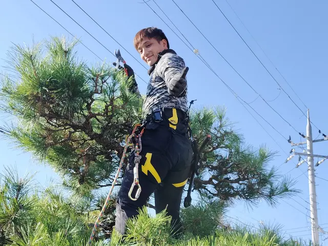 プロが認める芸術センス。数年先まで見据えた、木が長持ちする剪定。夫婦で伺います。サービスの画像