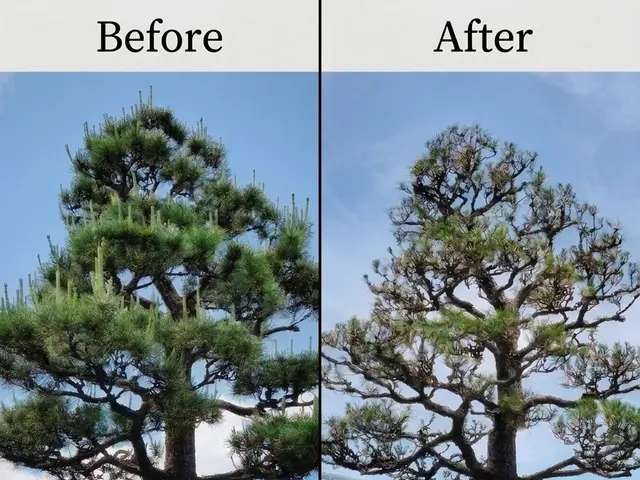 プロが認める芸術センス。数年先まで見据えた、木が長持ちする剪定。夫婦で伺います。サービスの画像