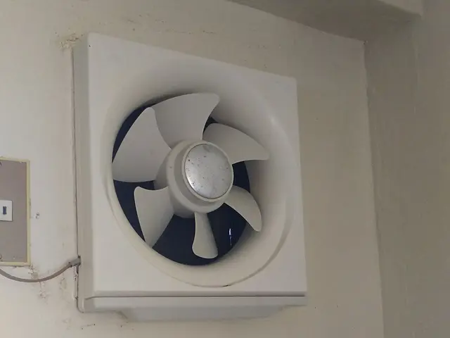 《すべて自社対応》損害保険加入済みで安心！匂いや汚れをスッキリ落としますサービスの画像