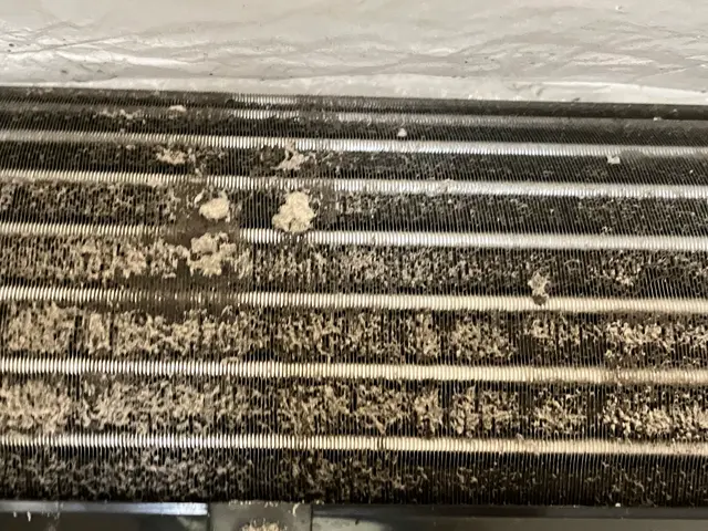 エアコンのカビは必ず来ます。そのカビを徹底的に取り除きます。綺麗な空気で、健康にサービスの画像