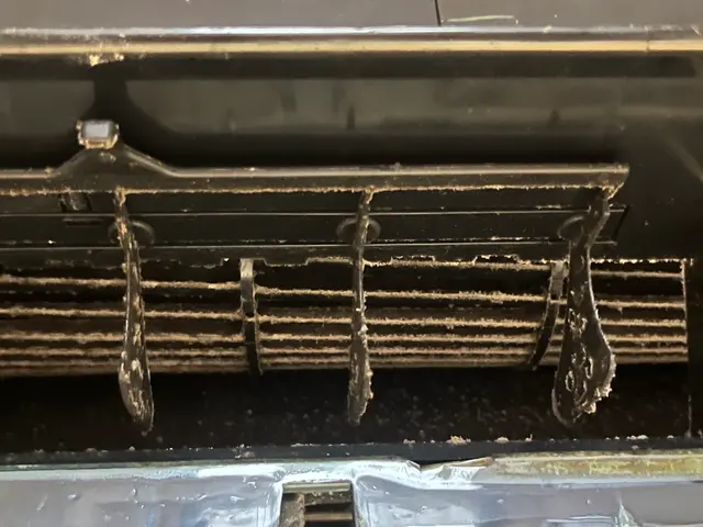 エアコンのカビは必ず来ます。そのカビを徹底的に取り除きます。綺麗な空気で、健康にサービスの画像