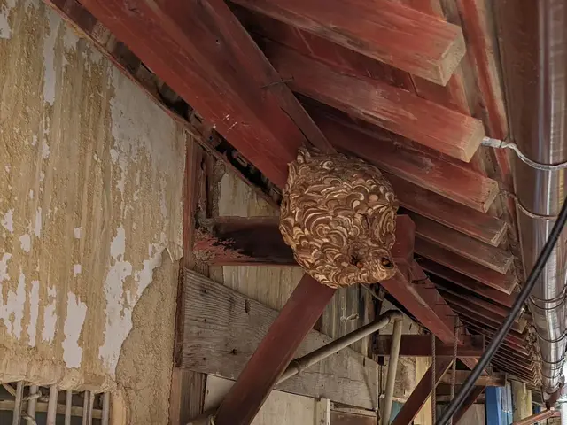 ◆予約から作業まで100%自社対応◎営業時間外も対応可◎アフターフォロー万全サービスの画像