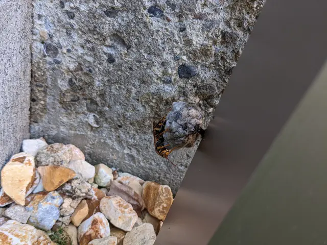 ◆予約から作業まで100%自社対応◎営業時間外も対応可◎アフターフォロー万全サービスの画像